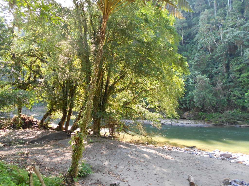 Playaselva Reserva Biologica Archidona Экстерьер фото