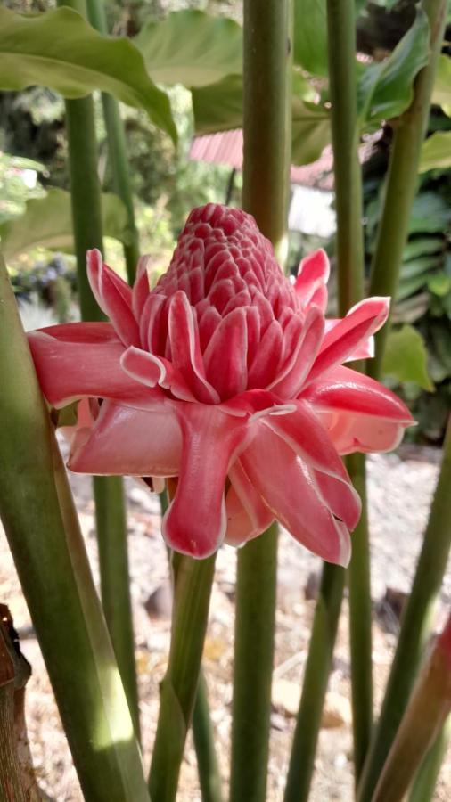 Playaselva Reserva Biologica Archidona Экстерьер фото
