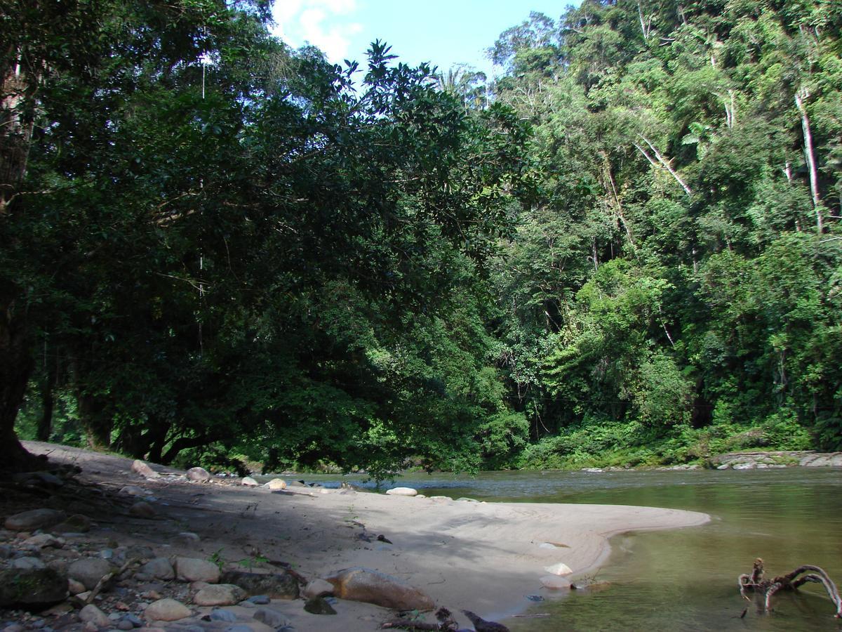 Вилла Playaselva Reserva Biologica Archidona Экстерьер фото