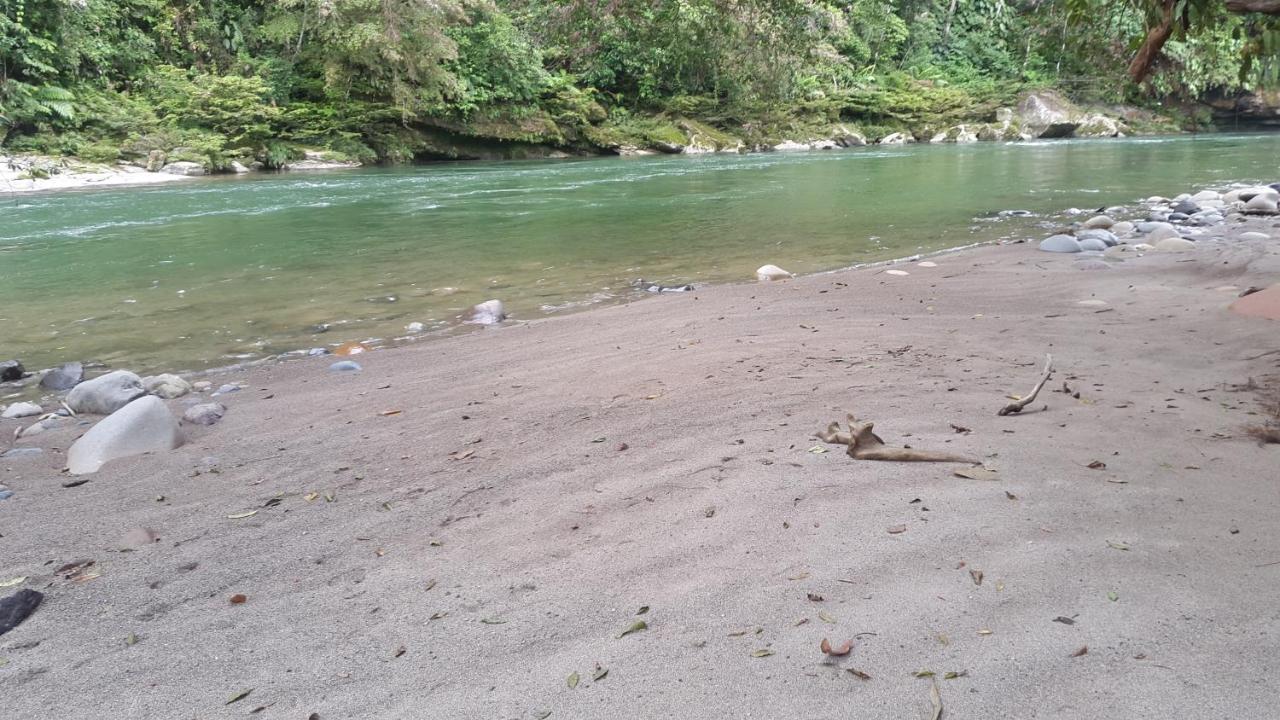Playaselva Reserva Biologica Archidona Экстерьер фото